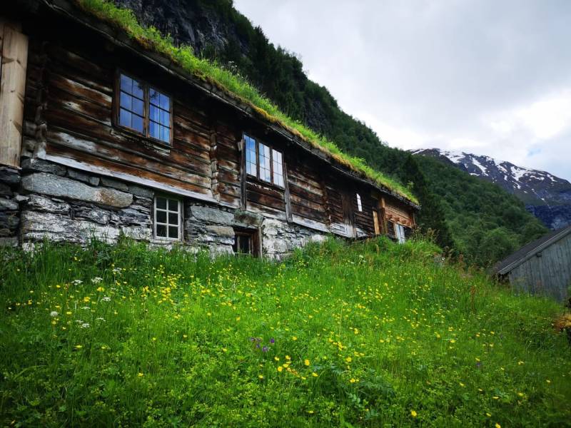 142796031_479328029758045_2549026935103194428_n